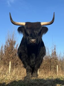 Ragnar